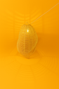 Handmade Rattan Pendant Lampshade – Natural Boho Wicker Ceiling Light