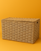 Rattan Wicker Toy Box – Stylish Palm Leaf Storage
